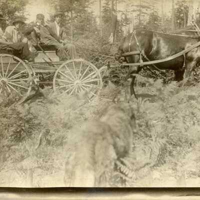 Postcard, Photographic