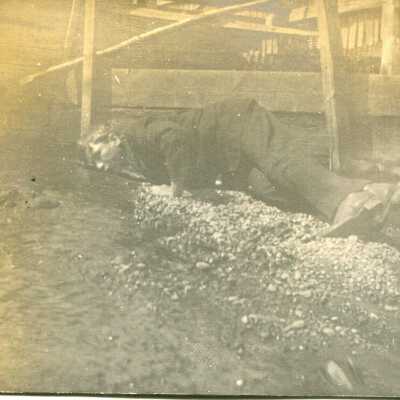 Print, Photographic