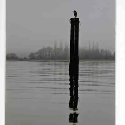 Cultus Bay Series