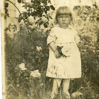 Photograph