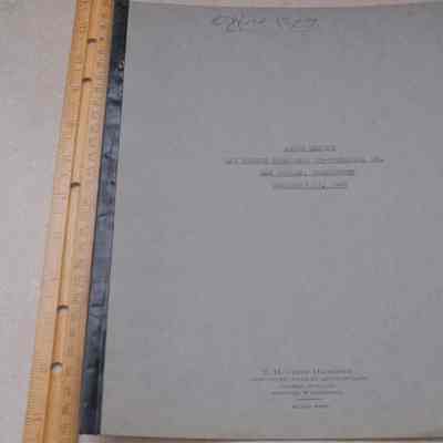 Audit Statement