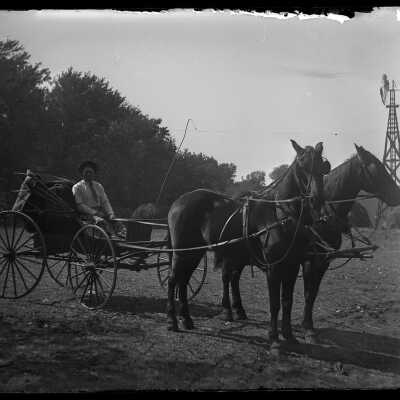 Buggy Drivers