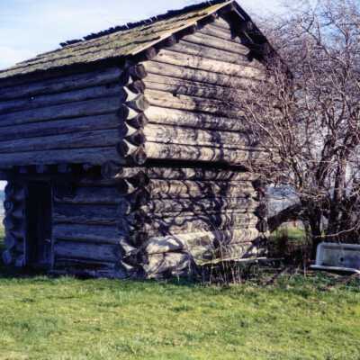 Photograph