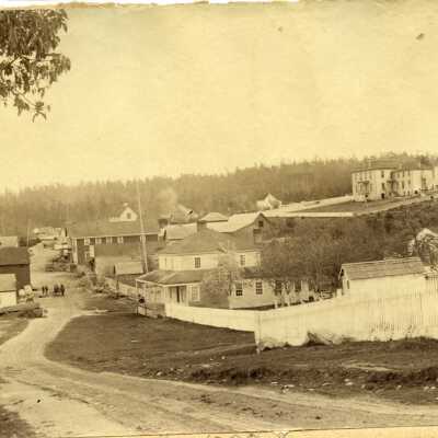 Print, Photographic