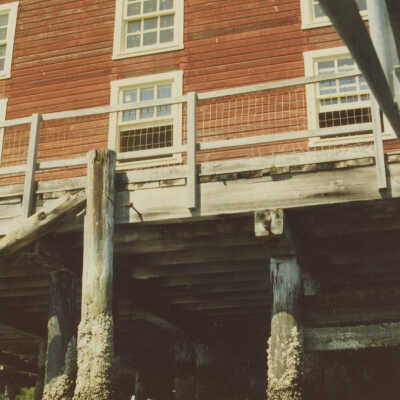 Photograph