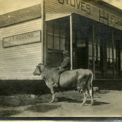 Postcard, Photographic