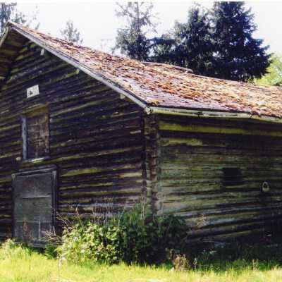 Photograph