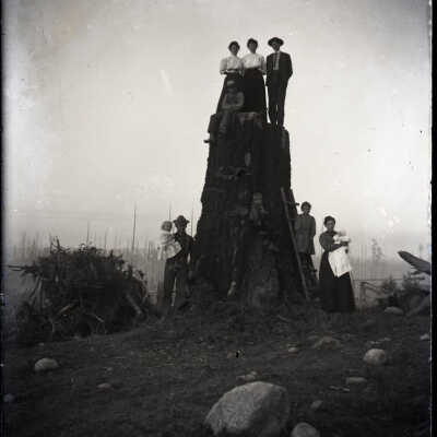 Negative, Glass-plate