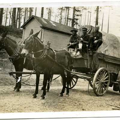 Postcard, Photographic