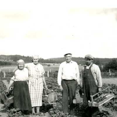 Photograph