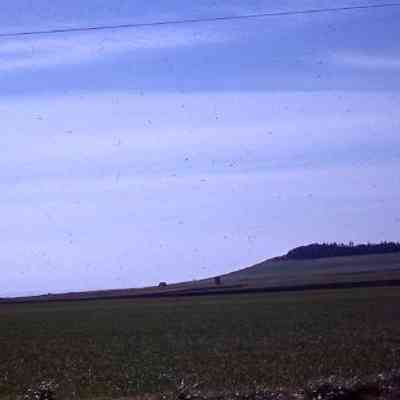 156. Ebey's Prairie: undated