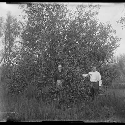Couple standing by tree: Origsize: 4x5; Origformat: Negative
