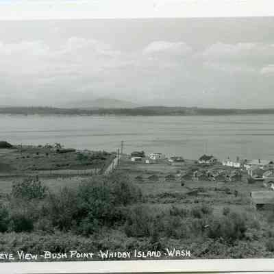 Bush Point Birdseye View