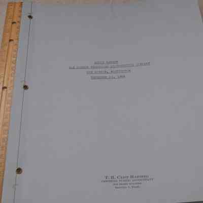 Audit Statement