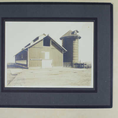 Print, Photographic