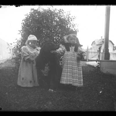 Negative, Glass-plate