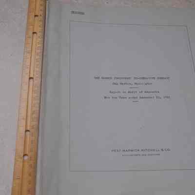 Audit Statement