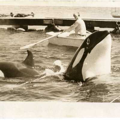 1970 Orca near San de Fuca - Capture