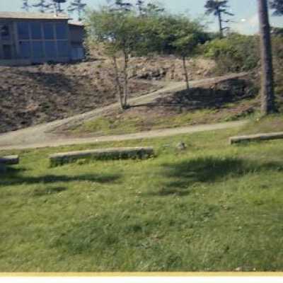 Libbey Park - Negative