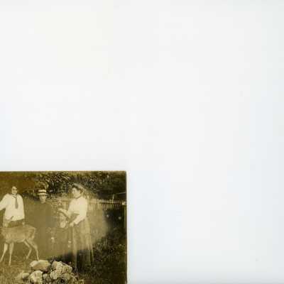 Postcard, Photographic, Photographic