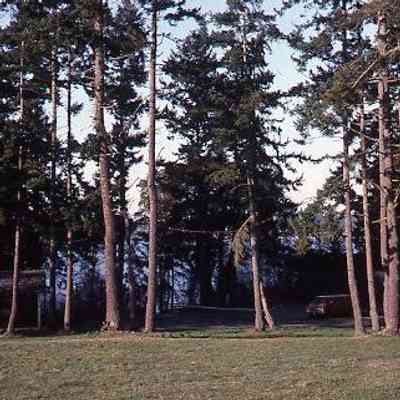 134. City Park: ca. 1977