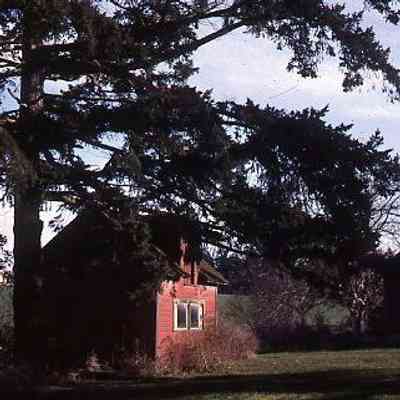 141. Unknown building: ca. 1977