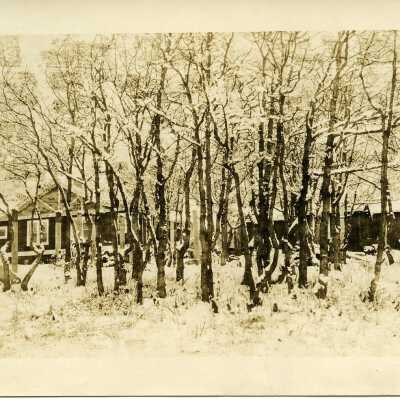 Postcard, Photographic