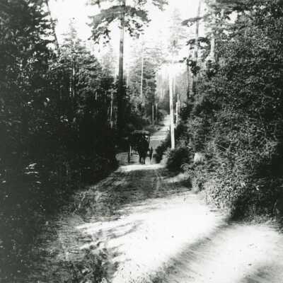 Highway near Coupeville 1850s
