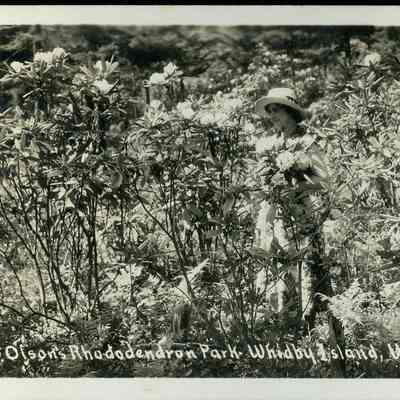 Olson's Rhododendron Park postcard
