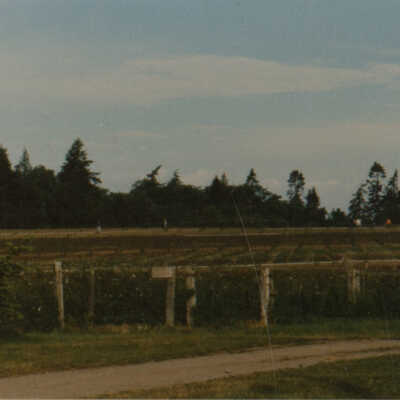 Greenbankscrapbook_bk-5
