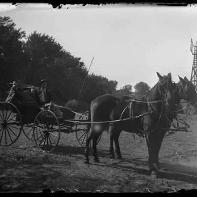 Horse and Buggy