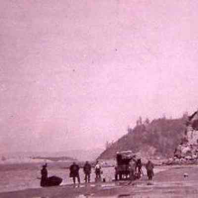 Beach Scene
