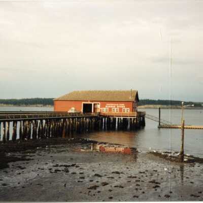 Photograph