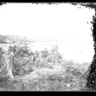 Negative, Glass-plate