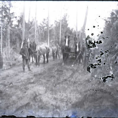 Negative, Glass-plate