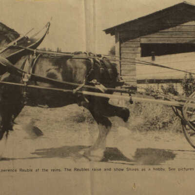 Newspaper