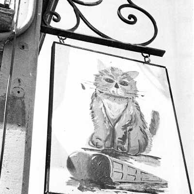 Wet Whisker Cat sign