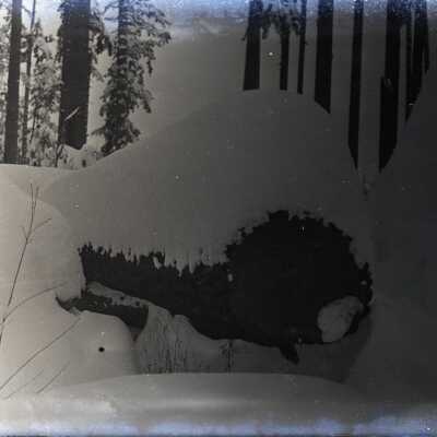 Negative, Glass-plate