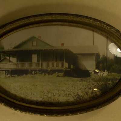 Photograph
