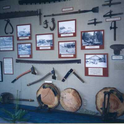 Photograph