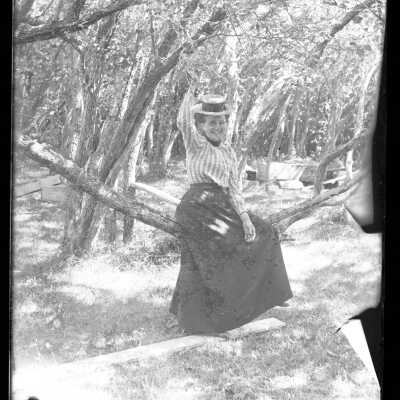 Negative, Glass-plate