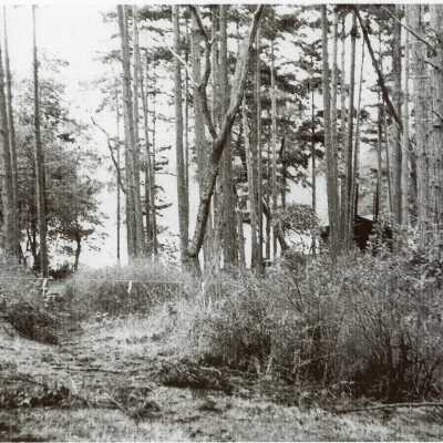 First County Road