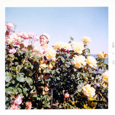 Photograph