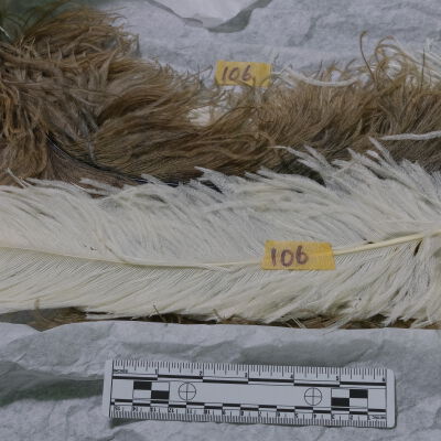 Feather