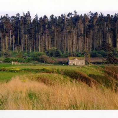 Photograph