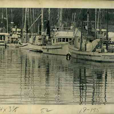 Fishing Fleet at Poulsbo