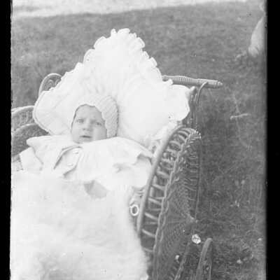 Negative, Glass-plate