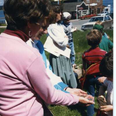 Photograph