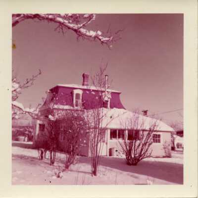 Photograph