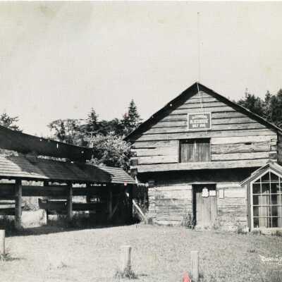 Photograph